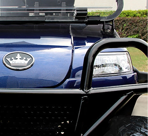 Electric Vehicles